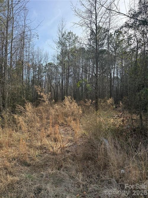 364 Longhorn Ln, Cheraw, SC, 29520-5173 | Card Image