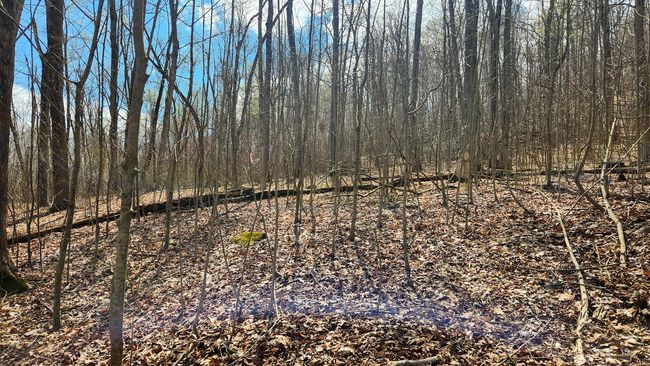 TRACT-1-PIKE-LAKE-GETAWA - 0 Pike Lake Rd, Home with 0 bedrooms, 0 bathrooms and null parking in Bainbridge OH | Image 30