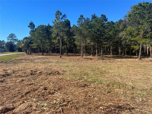 17802 Ne Us Highway 301, Waldo, FL, 32694-4615 | Card Image