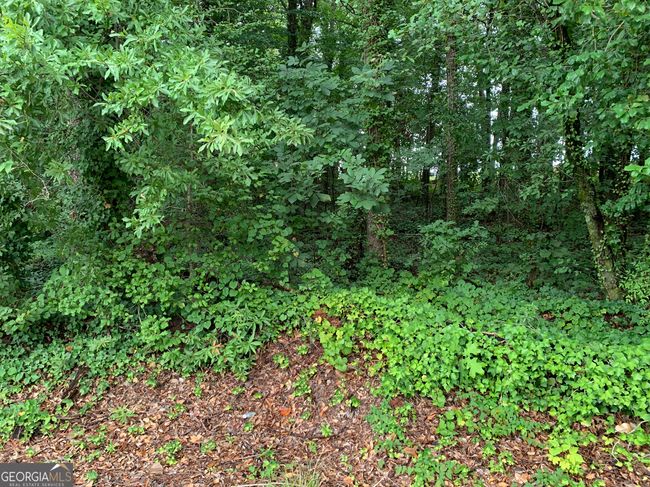 0 Highway 17 Alt, Home with 0 bedrooms, 0 bathrooms and null parking in Toccoa GA | Image 5