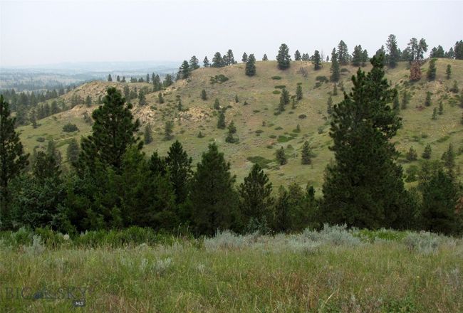 SC-25 - TBD Lone Rock Canyon Lane, Home with 0 bedrooms, 0 bathrooms and null parking in Hysham MT | Image 29