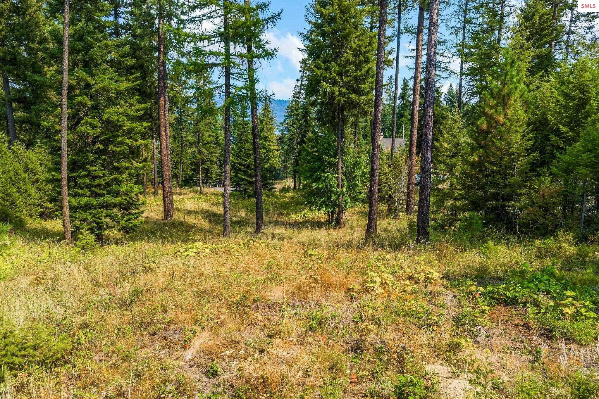 Land in Priest River