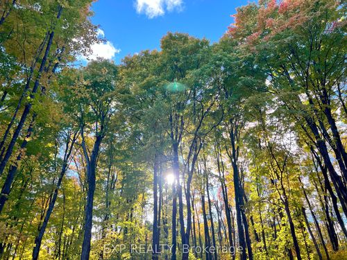 3191 Mountain View Rd, Killaloe, ON, K0J2A0 | Card Image