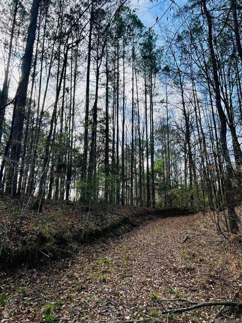 15397 Rogers Rd, Saint Francisville, LA, 70775-7009 | Card Image