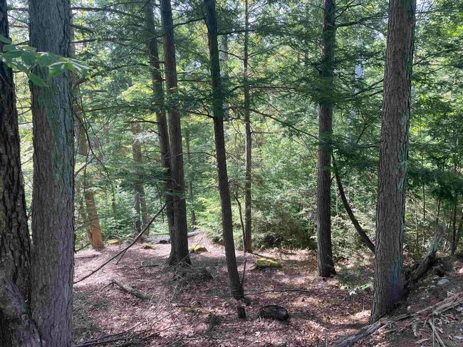 63 New Boston Rd, Home with 0 bedrooms, 0 bathrooms and null parking in Francestown NH | Image 15