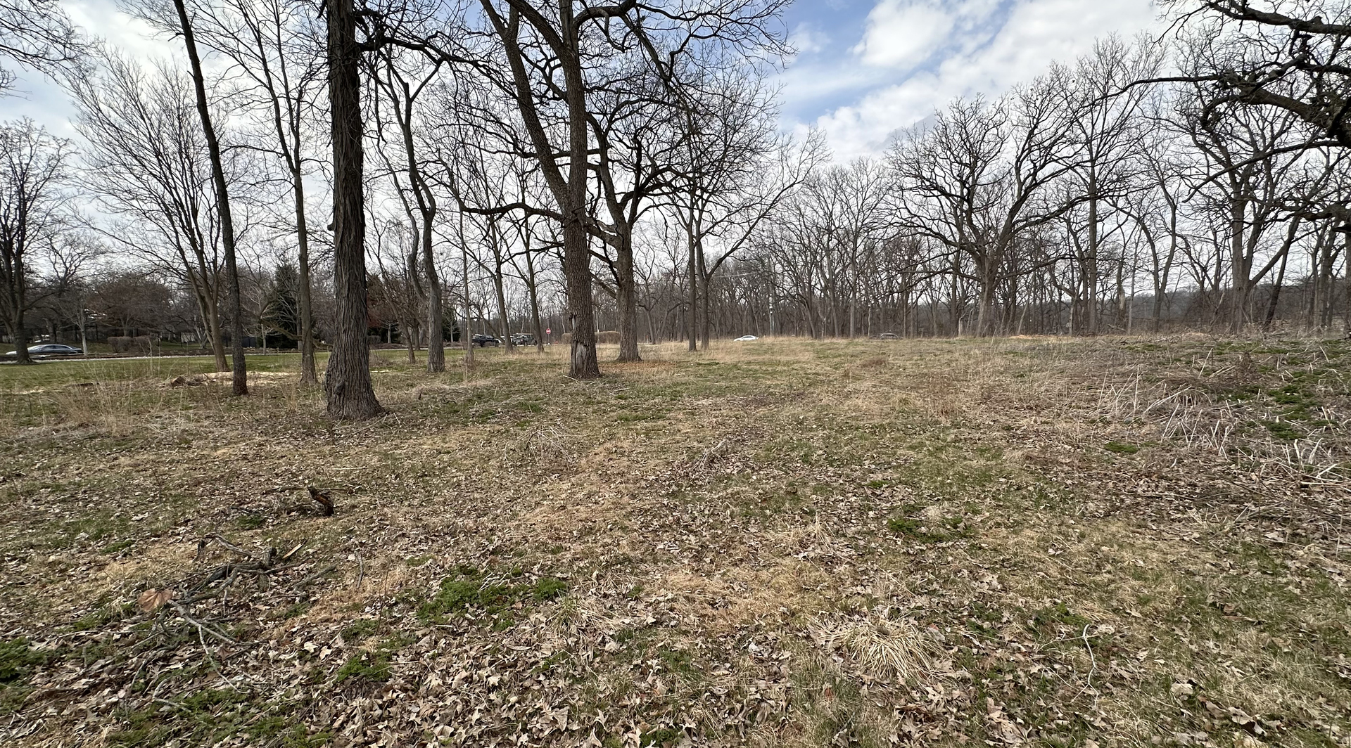 Land in Wayne