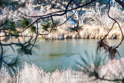 2201 Nw Lakeside Pl, Bend, OR, 97703-1354 | Card Image