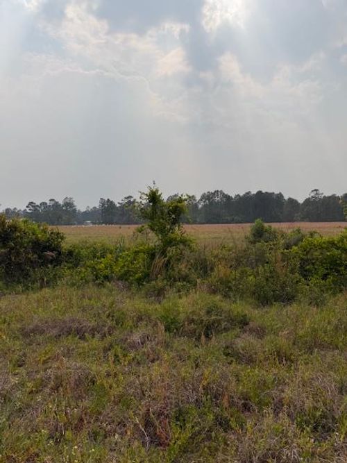 0 Moore Rd, Naylor, GA, 31641 | Card Image