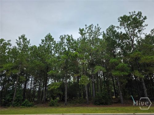 301 Bridge Pointe Rd, Waverly, GA, 31565 | Card Image