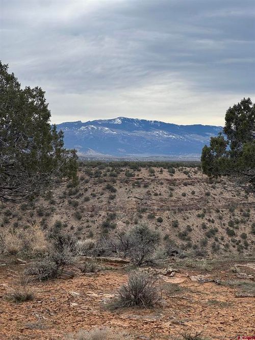 18858 Rocky Road Trl, Montrose, CO, 81403-8425 | Card Image