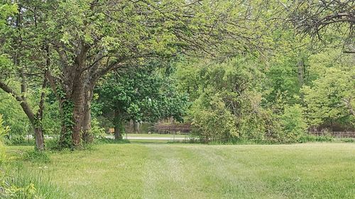 11 N Camelot North Way, North Vernon, IN, 47265 | Card Image