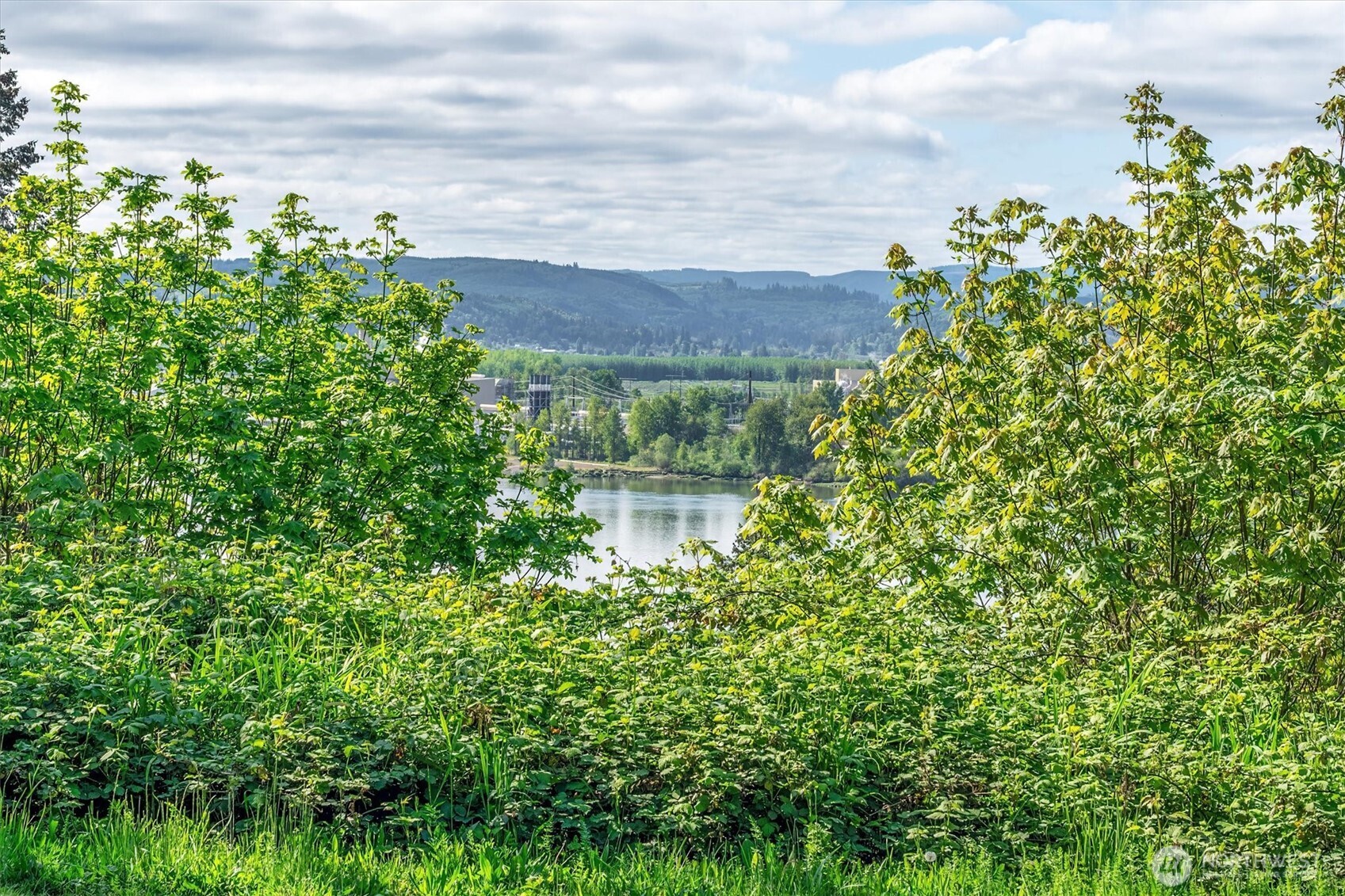 Land in Longview 4