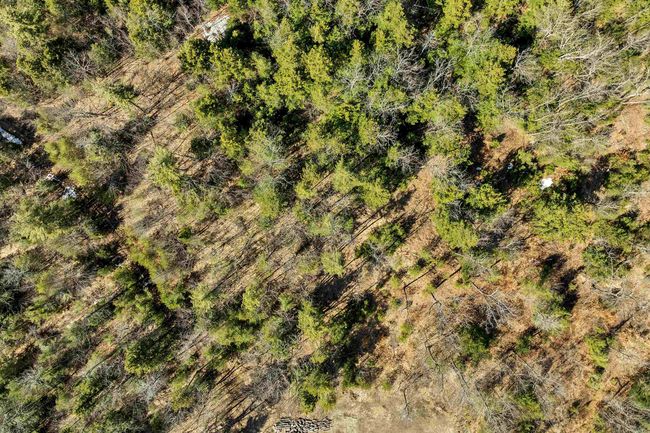 Lot 69 Glen Avenue, Home with 0 bedrooms, 0 bathrooms and null parking in Effingham NH | Image 11