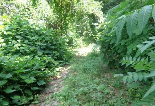 3705 Cross, Chattanooga, TN, 37411 | Card Image