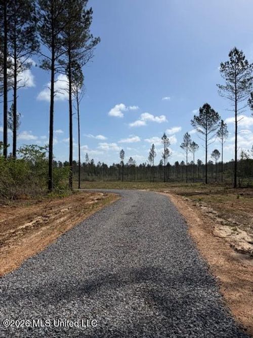 25 Acres City Bridge Road, Perkinston, MS, 39573 | Card Image