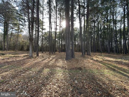 0 Keen Rd, Deal Island, MD, 21821 | Card Image