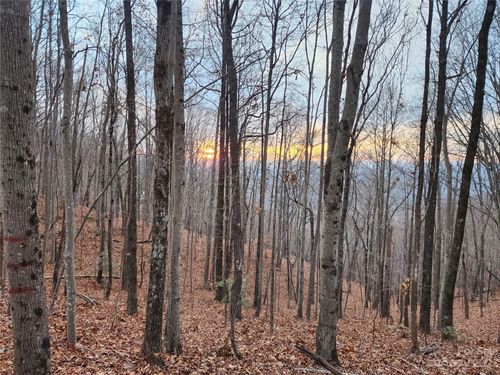 22 Mountain Lookout Dr, Bostic, NC, 28018 | Card Image