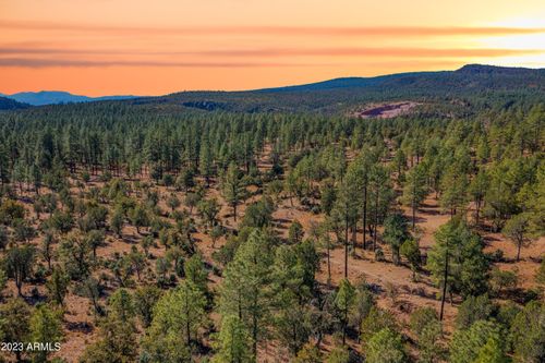 5-0 N Fawn Dr, Pine, AZ, 85544 | Card Image