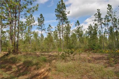 0 Camp Pearl Loop N, Home with 0 bedrooms, 0 bathrooms and null parking in Reeves LA | Image 1