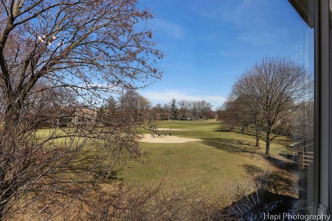 1025 - 982 Longmeadow Ct, Townhouse with 3 bedrooms, 4 bathrooms and 2 parking in Lake Barrington IL | Image 53
