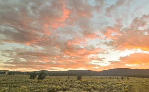 2 Trujillo Subdivision Hwy 434, Angel Fire, NM, 87710 | Card Image