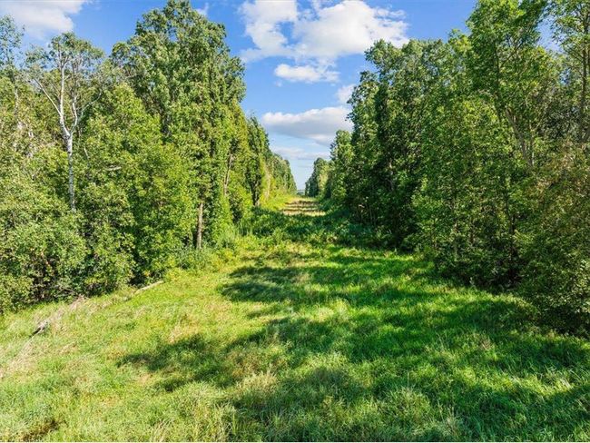 2389 Us Highway 63, Home with 0 bedrooms, 0 bathrooms and null parking in CLEAR LAKE WI | Image 9