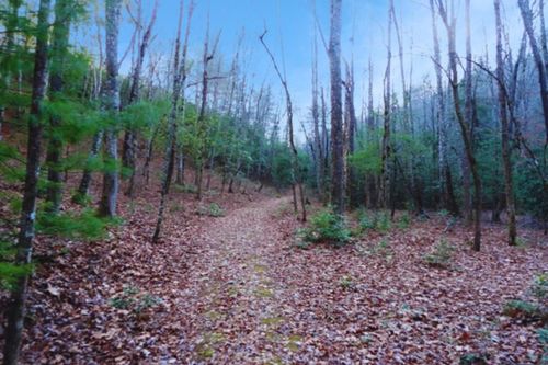 LT 23 Shelton Springs Dr, Hayesville, NC, 28904-8066 | Card Image