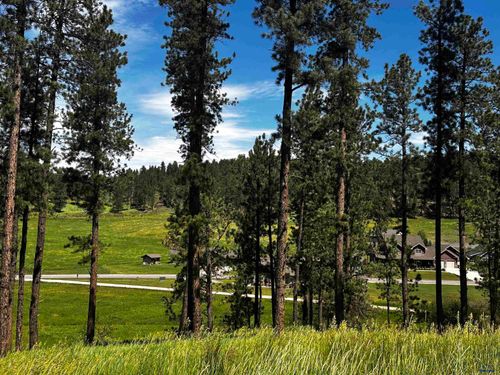tbd-lakewood-court-Blk 7 Lot 5 Other, Hill City, SD, 57745 | Card Image