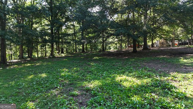 1780 Double Bridge Rd, House other with 3 bedrooms, 4 bathrooms and null parking in Demorest GA | Image 87