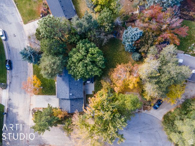Bird's eye view | Image 60