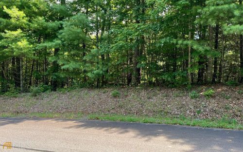 LOT 58 Fires Creek Cove, Hayesville, NC, 28904 | Card Image