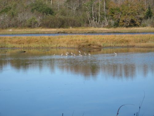 120 Wescogus Road, Addison, ME, 04606 | Card Image