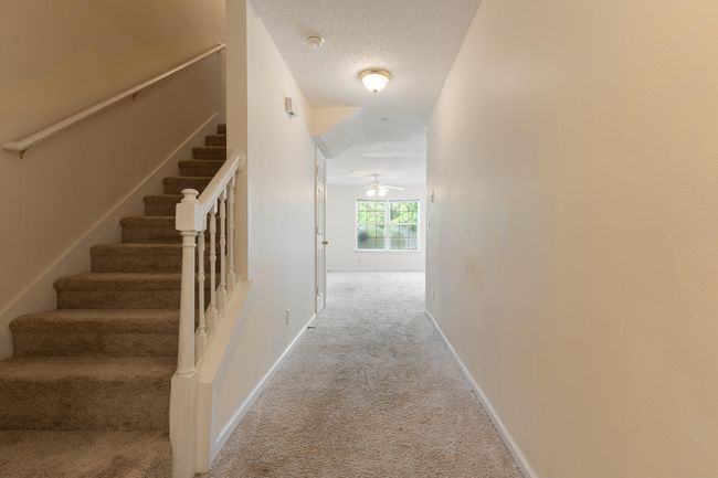 282 swaying pines-11 | Image 21