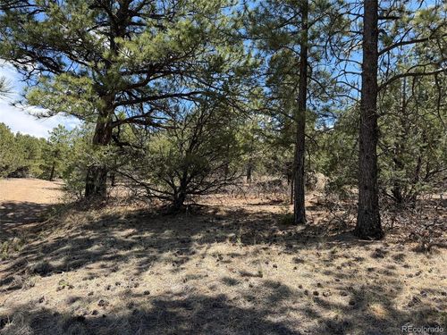 477 Bear Peak Rd, Westcliffe, CO, 81252 | Card Image