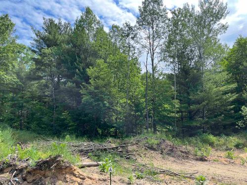 parcel A Hoosier Flats Road, Blair Township, MI, 49685 | Card Image