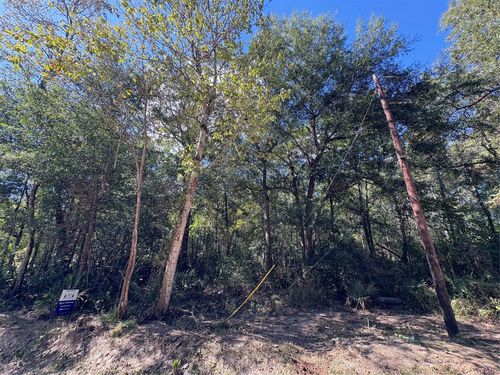 242 Mehringer Rd, Shepherd, TX, 77371 | Card Image