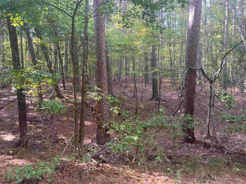 LOT 7 BLK 4 Doscientos Way, Hot Springs Village, AR, 71909-0000 | Card Image