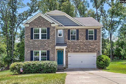 306 Dolly Horn Ln, Chapin, SC, 29036-6006 | Card Image