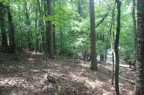 Lt 2628 Garnet Dr, Ellijay, GA, 30540 | Card Image