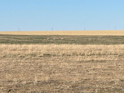 100 W 4th St, Haswell, CO, 81045 | Card Image