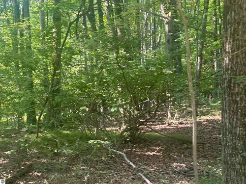 Lot # 179 Mockingbird Circle, Farwell, MI, 48622 | Card Image