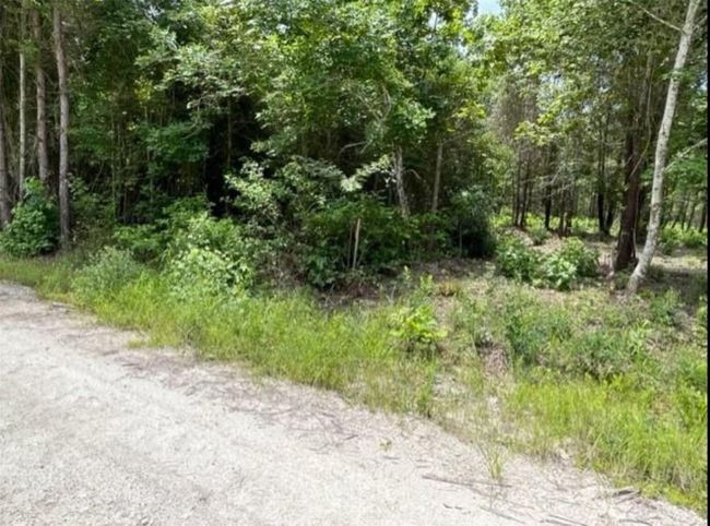 00 Lake Nacogdoches Ranch, Home with 0 bedrooms, 0 bathrooms and null parking in Douglass TX | Image 13