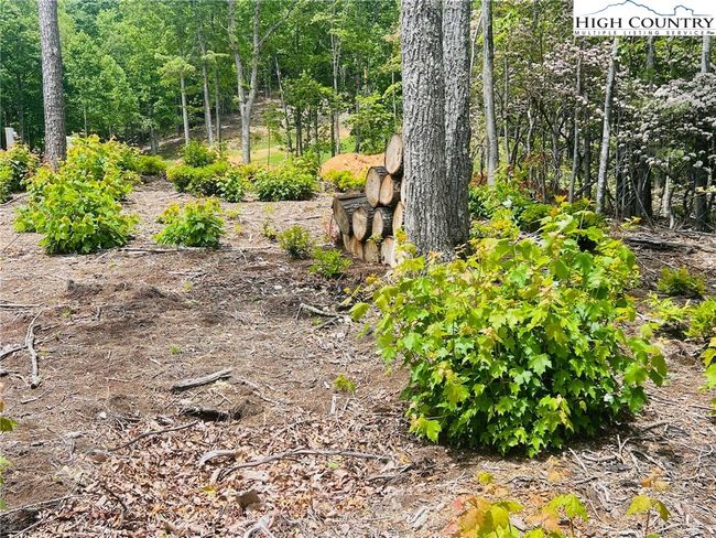39 Wildcat Wilderness Reserve Parkway, Home with 0 bedrooms, 0 bathrooms and null parking in Deep Gap NC | Image 10