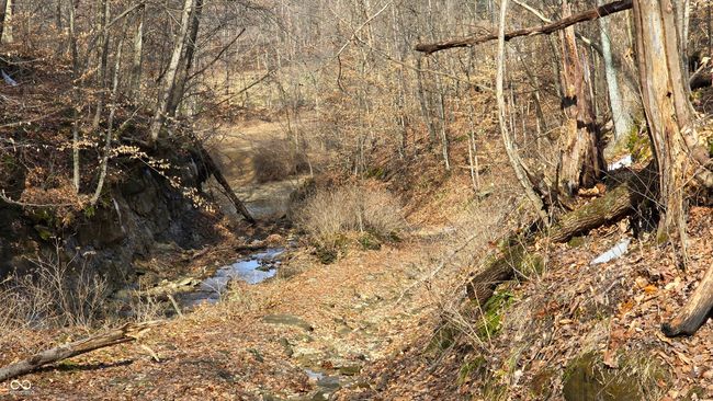 9885 W County Road 75 S, Home with 0 bedrooms, 0 bathrooms and null parking in Medora IN | Image 19