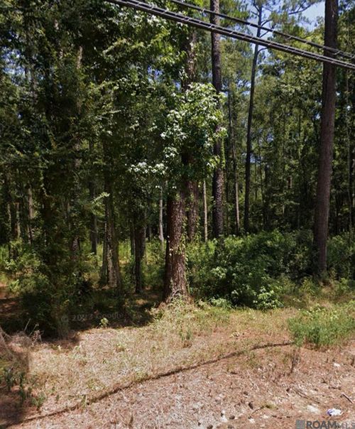 37153 Caraway Rd, Denham Springs, LA, 70706-0421 | Card Image