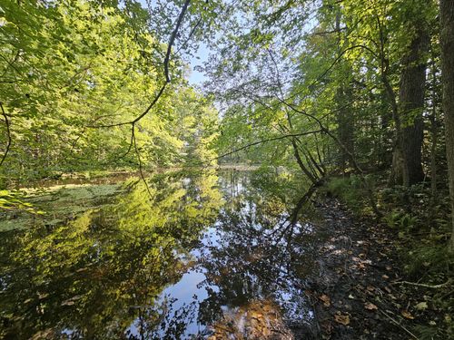 71 State Route 108, Coalmont, TN, 37313 | Card Image