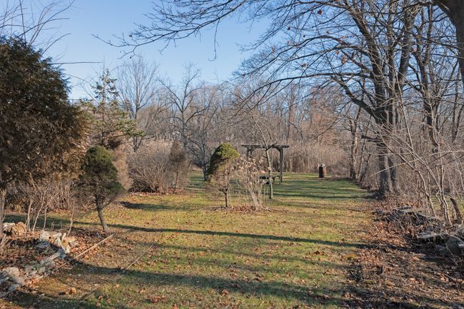 View of backyard | Image 16