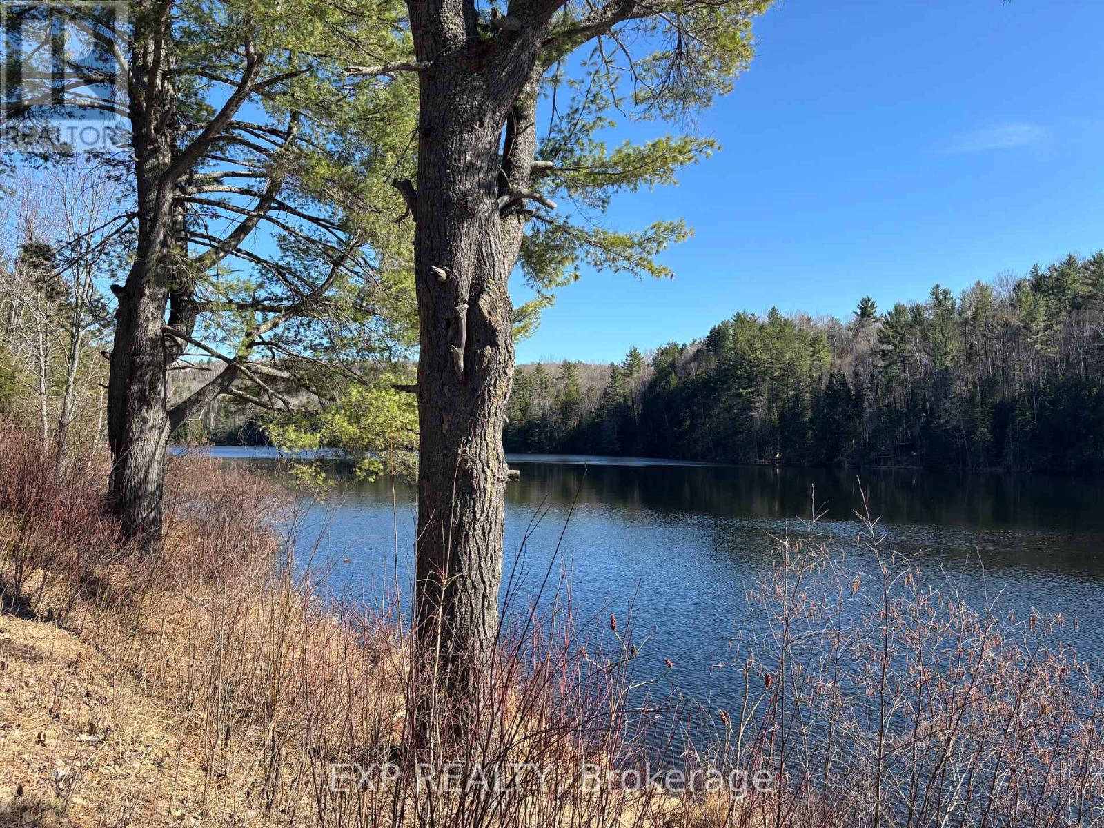 Land in Madawaska Valley