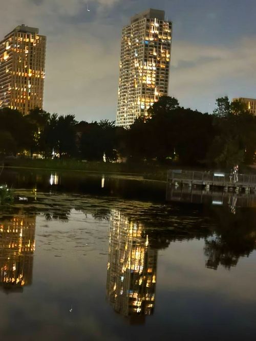 12g-2020 N Lincoln Park, Chicago, IL, 60614 | Card Image