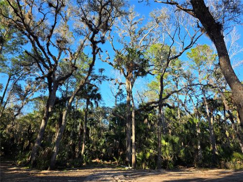 1243 Gee Whiz Ln, OSTEEN, FL, 32764-9767 | Card Image